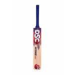 DSC Intense Spirit Kashmir Willow Bat